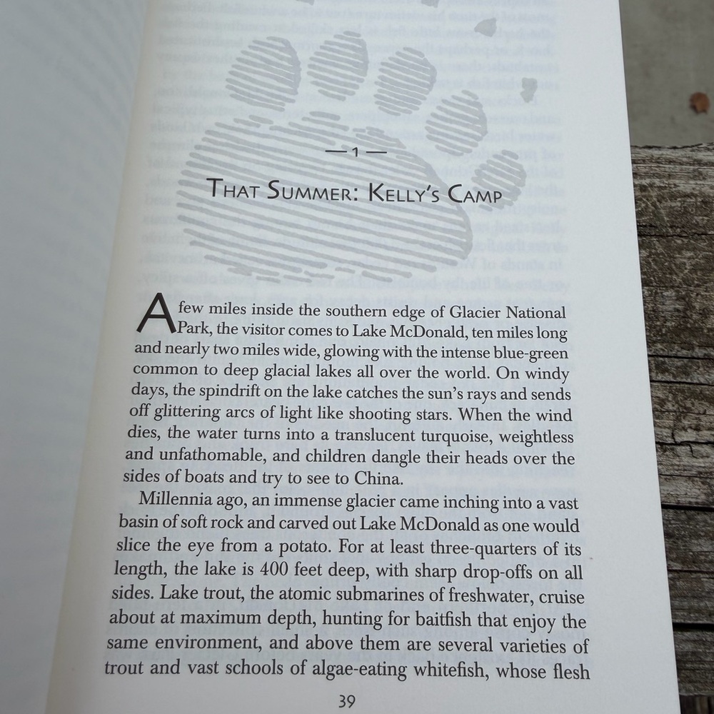 Book Night of the Grizzlies by Jack Olsen Glacier National Park 5 star read - Picture 9 of 9